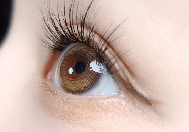 LensVery Ruddy Brown colored contact lens, 13.3mm graphic diameter, Monthly wear