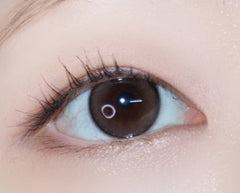 LensVery ShuShu 1Day Brown (10p)