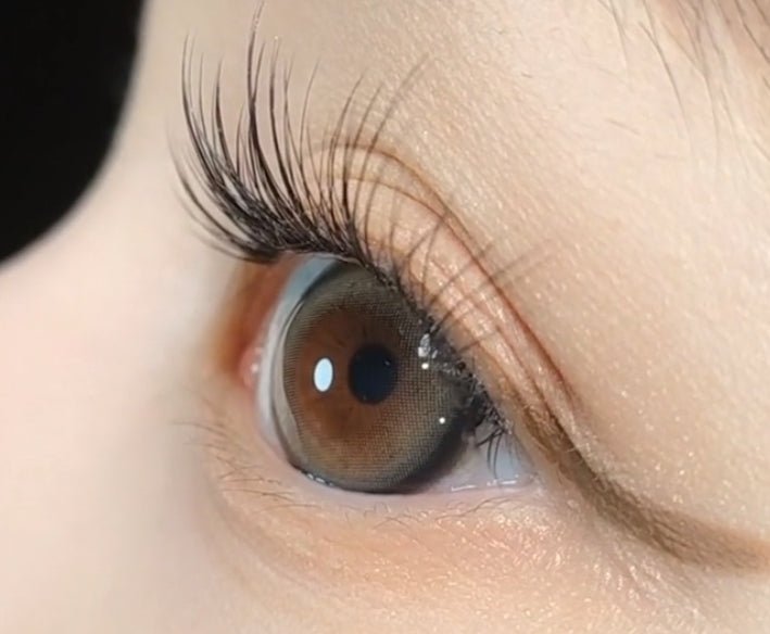 LensVery Sweetfy Beige colored contact lens, 13.3mm graphic diameter, Monthly wear
