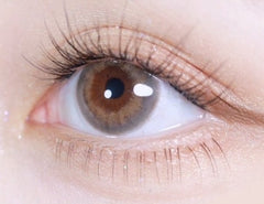 LensVery Taro Jeom Grege Gray (10p)