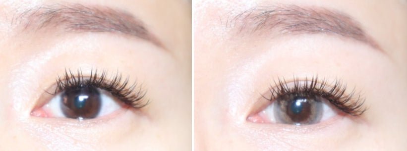 LensVery Taro Jeom Grege Gray (10p) colored contact lens, 13.2mm graphic diameter, Daily wear