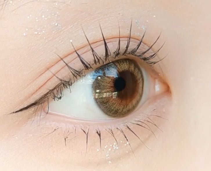 LensVery Vellica Brown colored contact lens, 13.0mm graphic diameter, Monthly wear