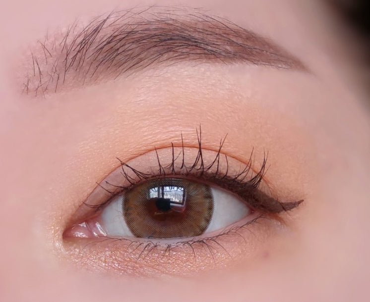 LensVery Wonder Eye Brown (10p) colored contact lens, 13.4mm graphic diameter, Daily wear