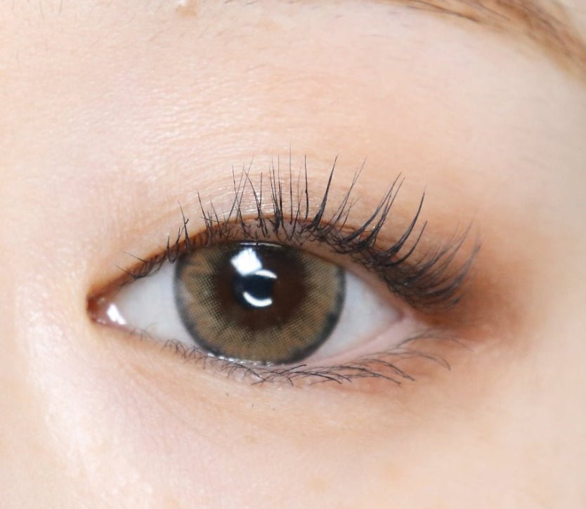 LensVery Wonder Eye Brown colored contact lens, 13.4mm graphic diameter, Monthly wear