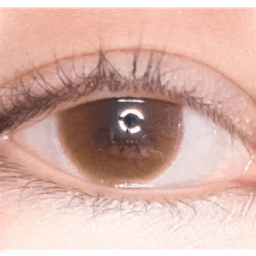 Olens Anna Sui Dolly Girl Tint Brown — single-eye close-up showing the contact lens appearance