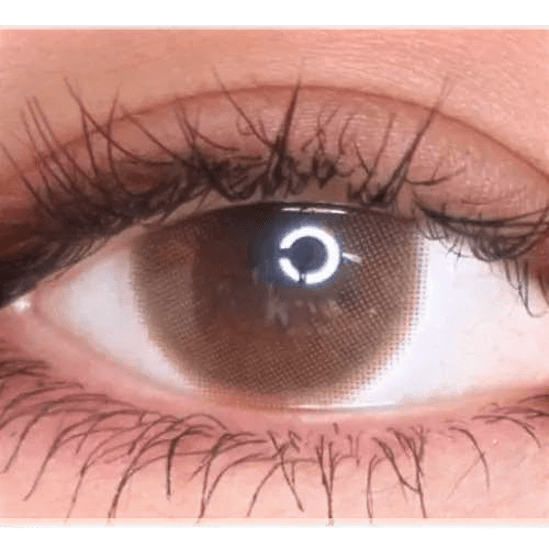 Olens Anna Sui Dolly Girl Tint Brown — single-eye close-up showing the contact lens appearance
