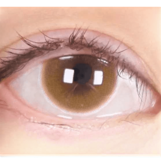 Olens Anna Sui Dolly Girl Tint Brown — single-eye close-up showing the contact lens appearance