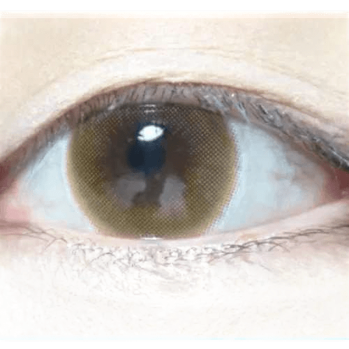 Olens Anna Sui Dolly Girl Tint Brown — single-eye close-up showing the contact lens appearance