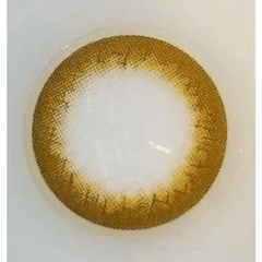 Olens BS 21 Brown Toric