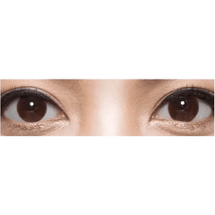 Olens BS 21 Choco Toric