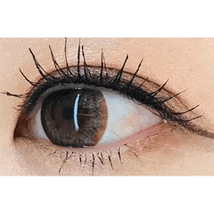 Olens BS 21 Gray Toric colored contact lens, 13.5mm graphic diameter, 3-6 Months wear