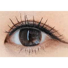 Olens BS 21 Gray Toric