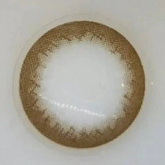 Olens BS 21 Gray Toric