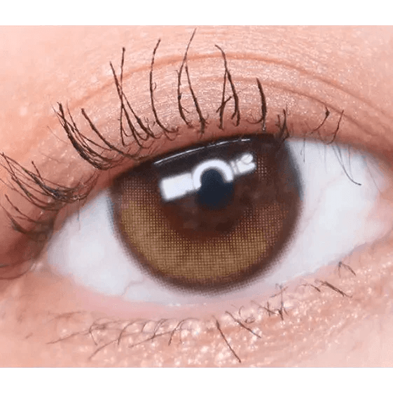 Olens Eyelighter Glowy 1Day Brown (10p) colored contact lens, 13.1mm graphic diameter, Daily wear
