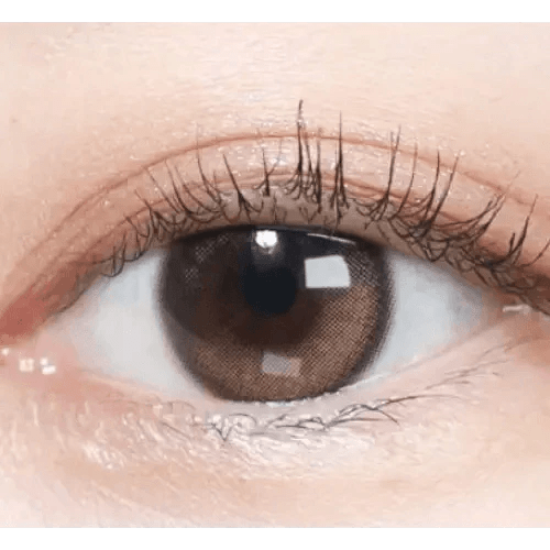 Olens Eyelighter Glowy 1Day Brown (10p) colored contact lens, 13.1mm graphic diameter, Daily wear