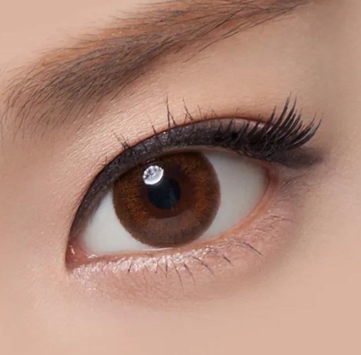 Olens LAVI A Brown colored contact lens, 13.5mm graphic diameter, 3-6 Months wear
