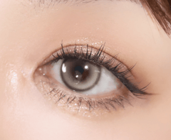 Olens Muse Shine Brown (10p)