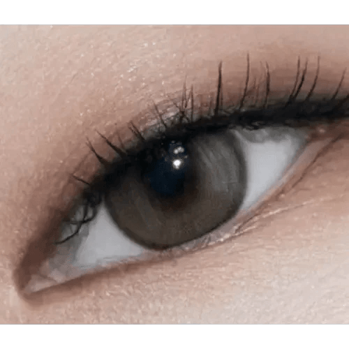 Olens Real Ring 1Day Gray (10p) colored contact lens, 12.5mm graphic diameter, Daily wear