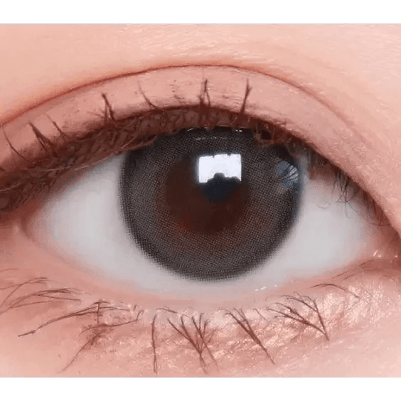 Olens Real Ring 1Day Gray (10p) colored contact lens, 12.5mm graphic diameter, Daily wear