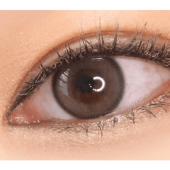 Olens Real Ring 1Day Gray (10p)