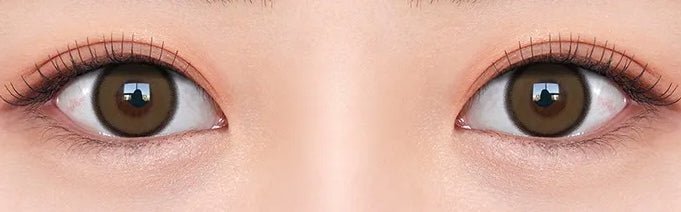 Olens Realish 1Day Brown (10p) colored contact lens, 13.5mm graphic diameter, Daily wear