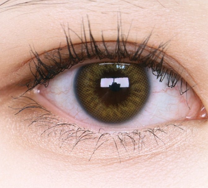 Olens Scandi 1Day Hazel (20p)