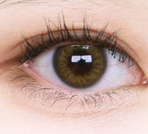 Olens Scandi 1Day Hazel (20p)