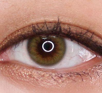 OLENS Scandi 1Day Olive (10p) — image 5