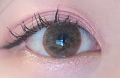 Olens Winky Star Brown