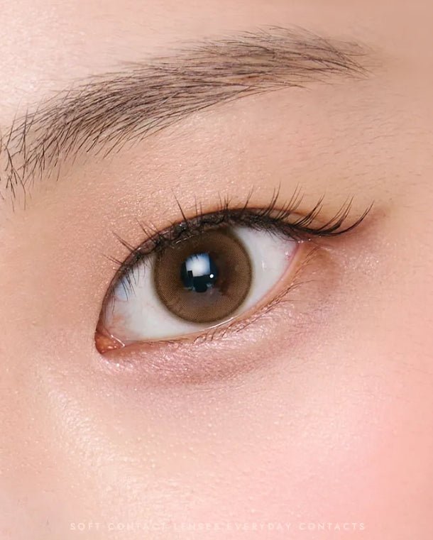 Shine Touch Milky 1Day Brown (20p) colored contact lens, 12.7mm graphic diameter, Daily wear