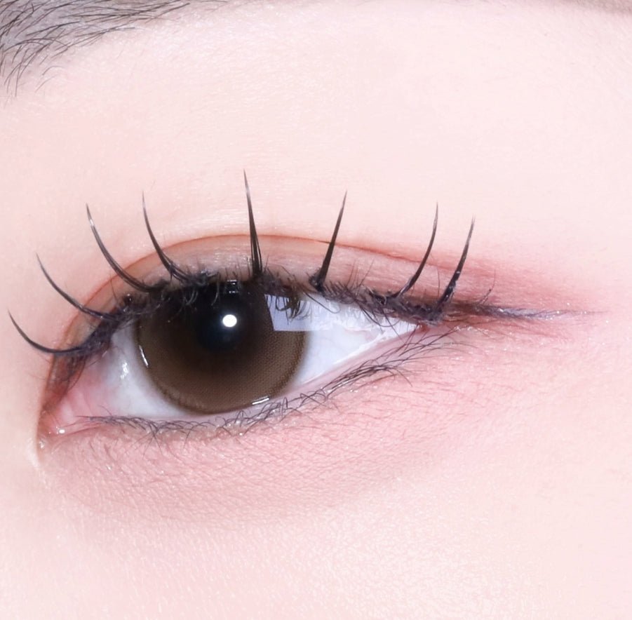 Shine Touch Milky 1Day Brown (20p) colored contact lens, 12.7mm graphic diameter, Daily wear
