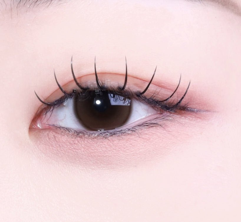 Shine Touch Milky 1Day Choco (20p) colored contact lens, 12.7mm graphic diameter, Daily wear