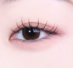 Shine Touch Milky 1Day Choco (20p)