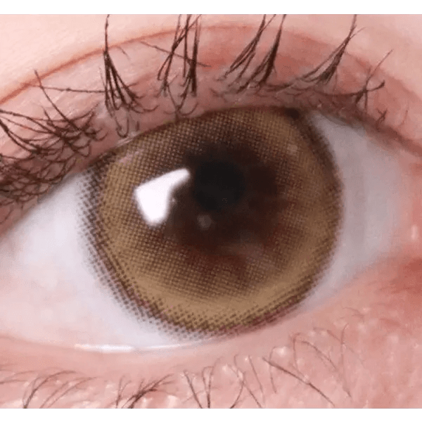 Olens ViVi Ring 1Day Beige (10p) colored contact lens, 13.8mm graphic diameter, Daily wear