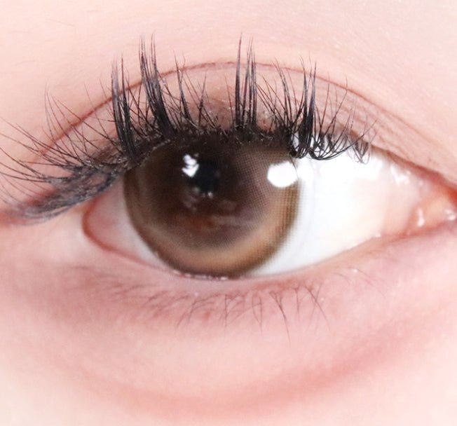 LensTown 247 Bom Brown (10p) colored contact lens, 13.4mm graphic diameter, Daily wear