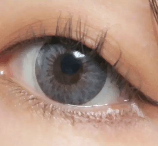 LensTown 247 Fit Gray (10p) — single-eye close-up showing the contact lens appearance