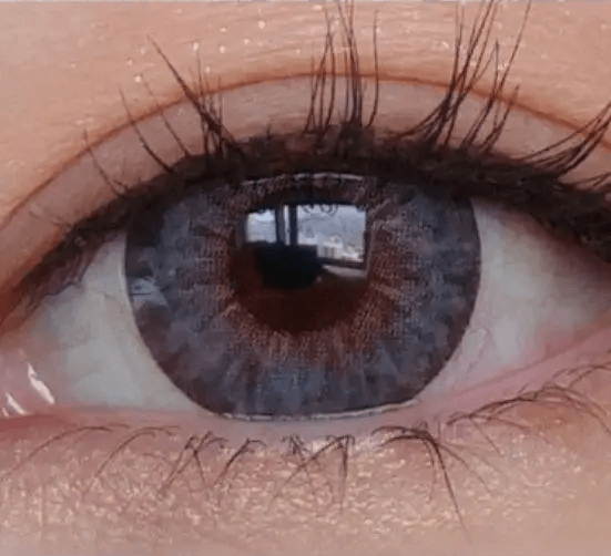 LensTown 247 Fit Gray (10p) — single-eye close-up showing the contact lens appearance