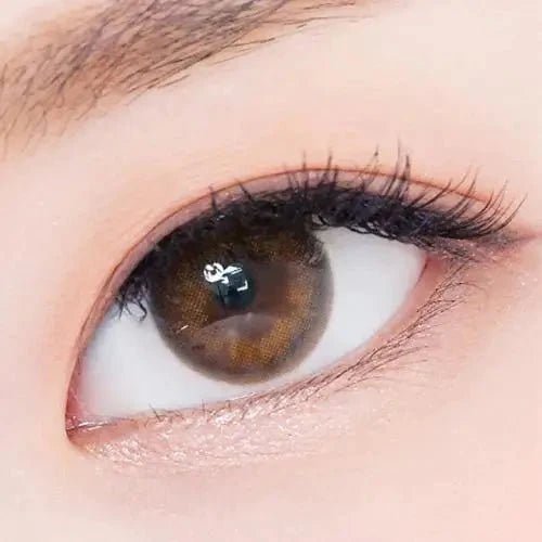 LensTown 247 With Me Brown (10p) — single-eye close-up showing the contact lens appearance