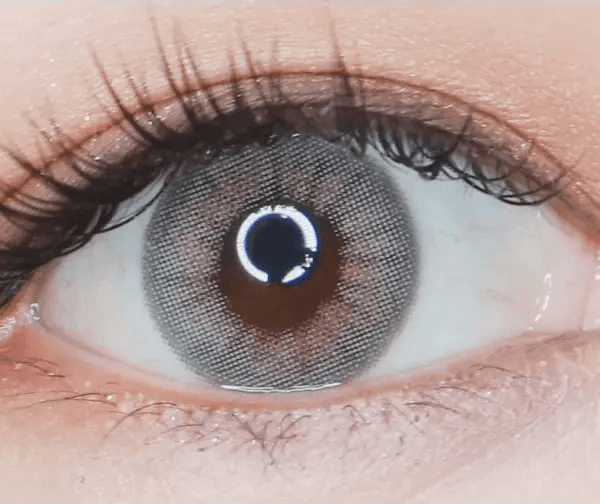 LensTown 247 With Me Gray (10p) — single-eye close-up showing the contact lens appearance