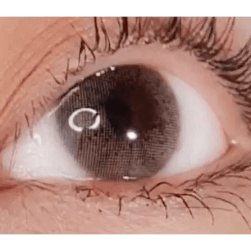 LensVery 3Brown Code1 colored contacts - on-eye close-up showing the color and design