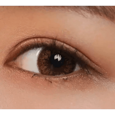 Add Brown 13.6mm Add Brown 13.6mm