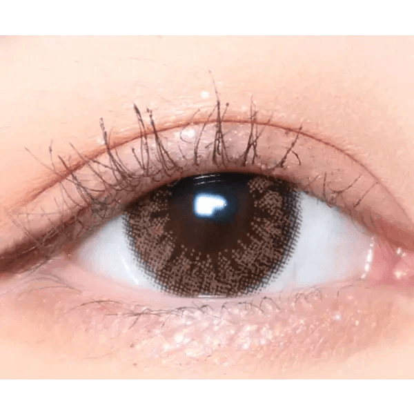 LensVery Add Brown colored contact lens, 13.6mm graphic diameter, Monthly wear