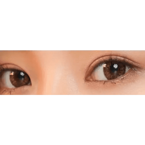 LensVery Add Brown colored contact lens, 13.6mm graphic diameter, Monthly wear