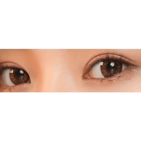 Add Brown 13.6mm Add Brown 13.6mm