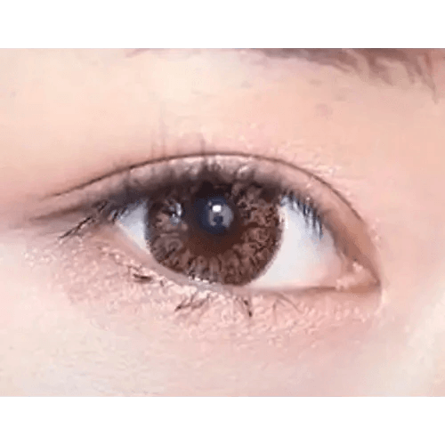 LensVery Add Brown colored contact lens, 13.6mm graphic diameter, Monthly wear