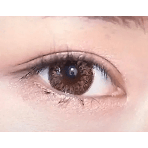 Add Brown 13.6mm Add Brown 13.6mm