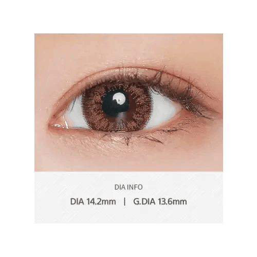 LensVery Add Brown colored contact lens, 13.6mm graphic diameter, Monthly wear