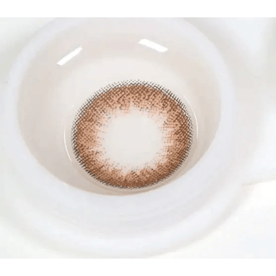 LensVery Add Brown colored contact lens, 13.6mm graphic diameter, Monthly wear