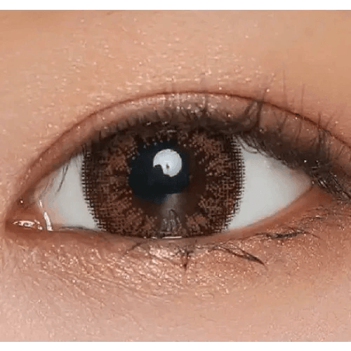 LensVery Add Brown colored contact lens, 13.6mm graphic diameter, Monthly wear