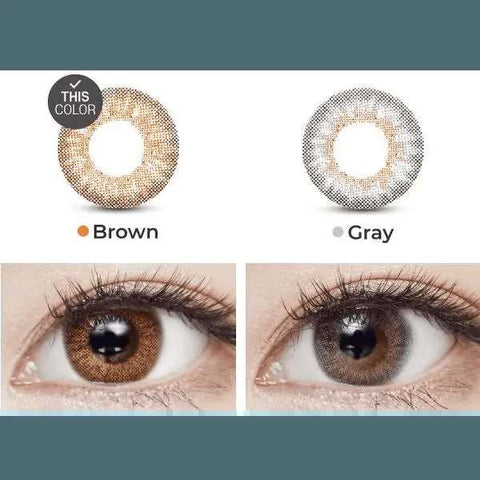 Anello No.1 Brown 13.7mm Anello No.1 Brown 13.7mm